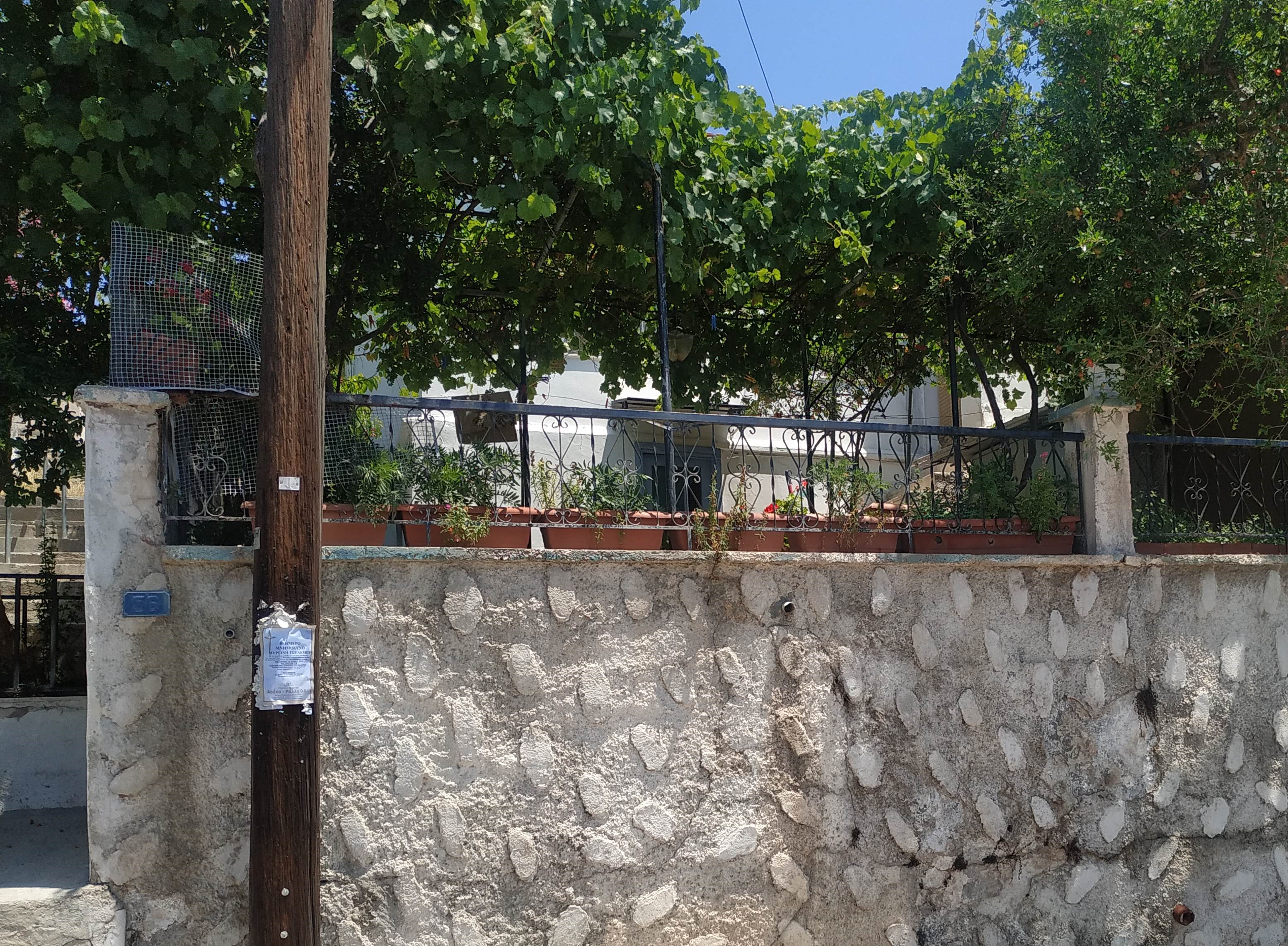 photo0
