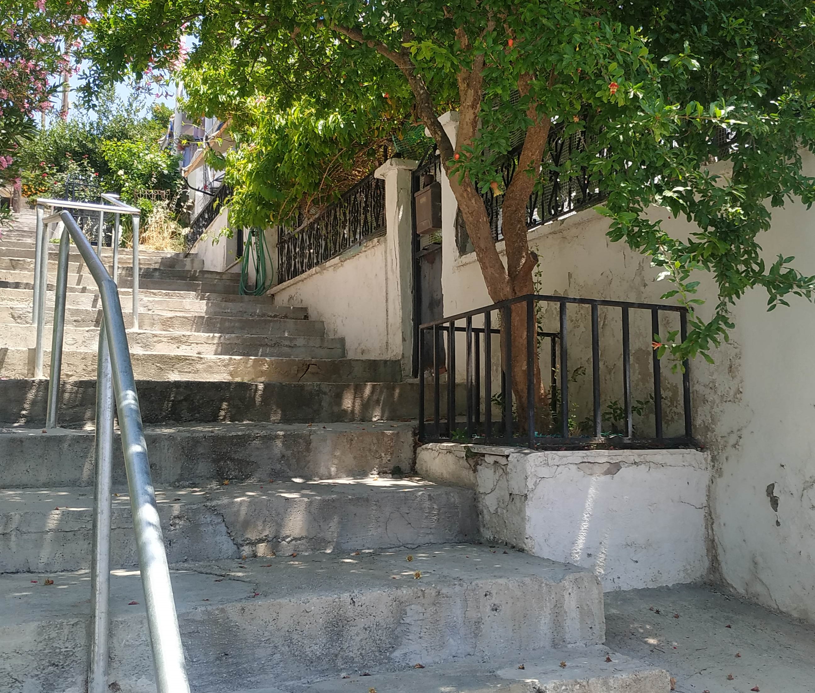 photo1