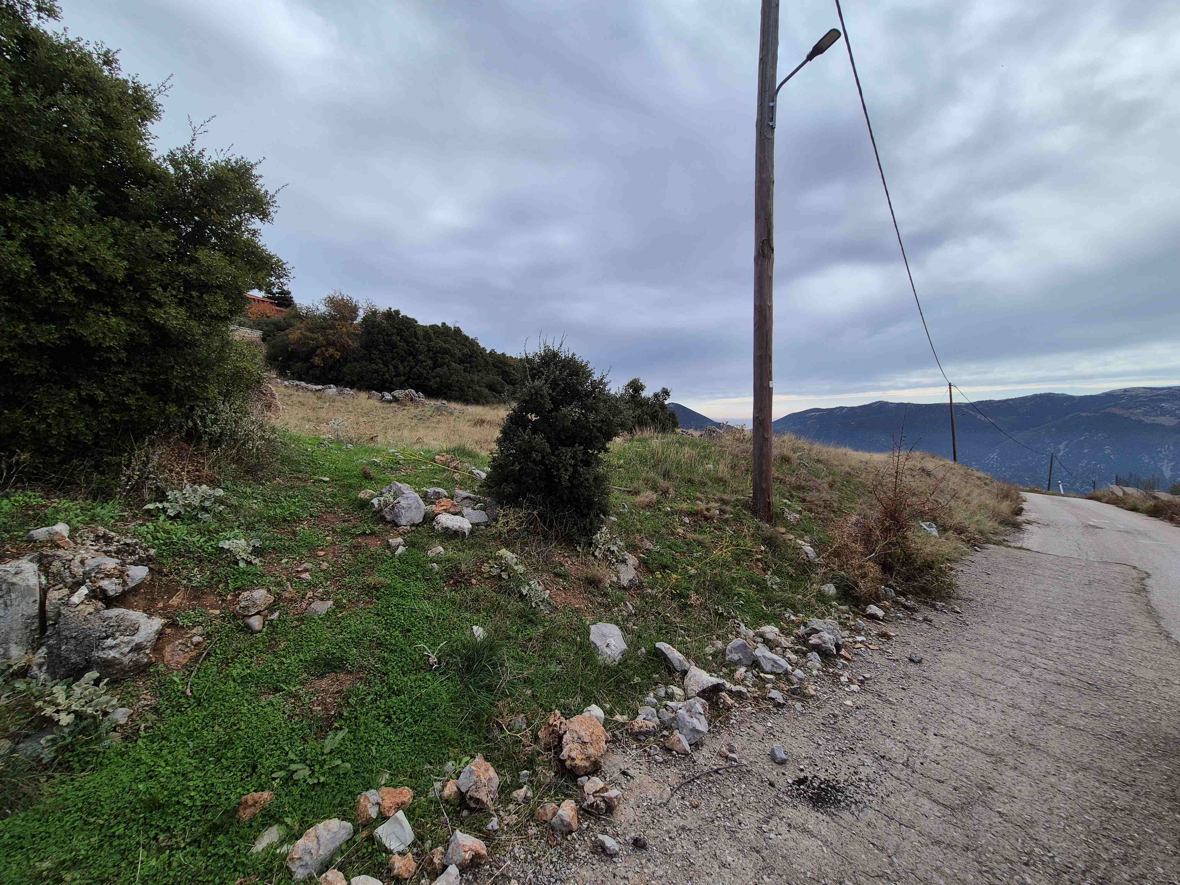 Αγροτεμάχιο  σε πλειστηριασμό Δήμος Διστόμου-Αράχοβας - Αντίκυρας