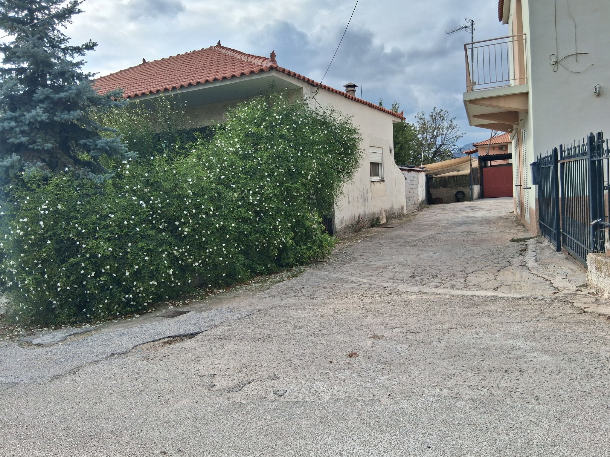 photo1