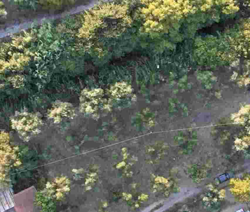 photo11
