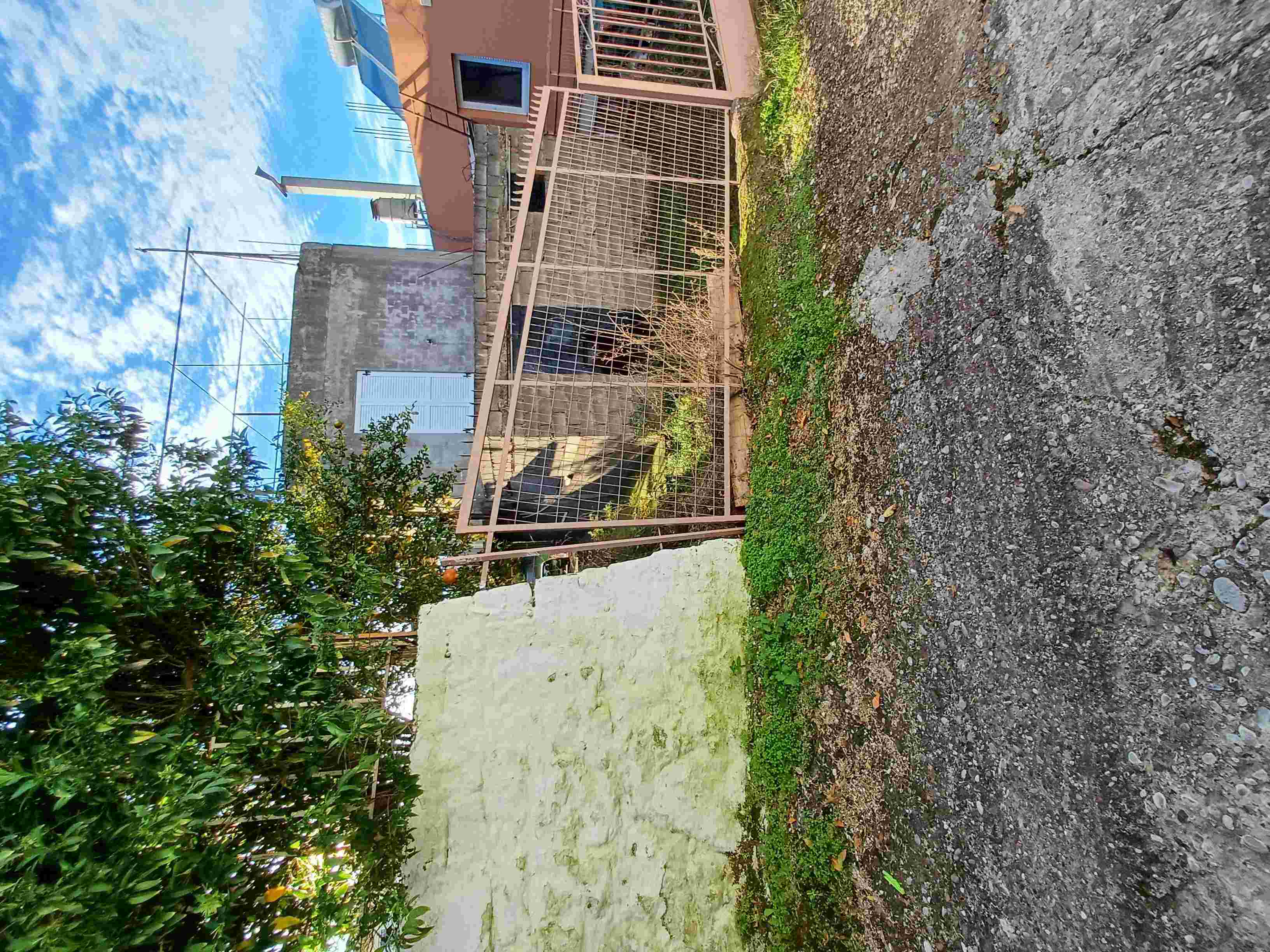 photo0