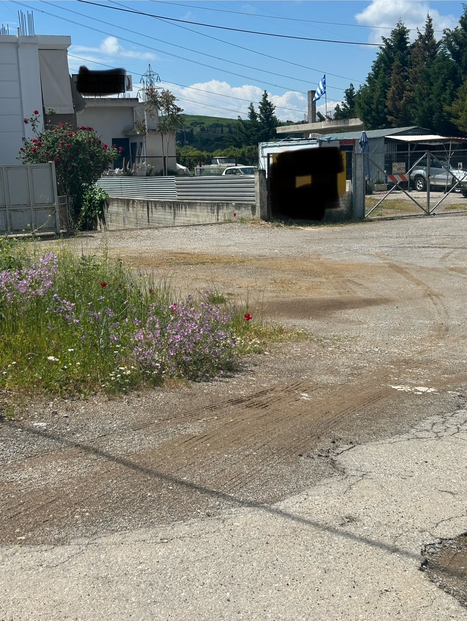 photo0