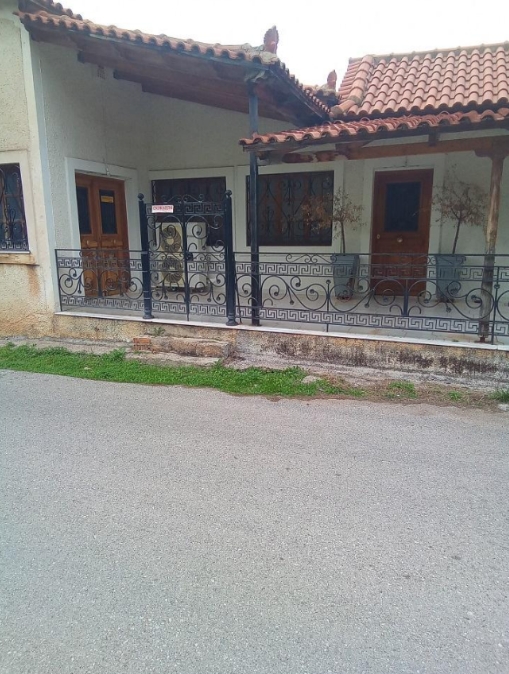 photo1
