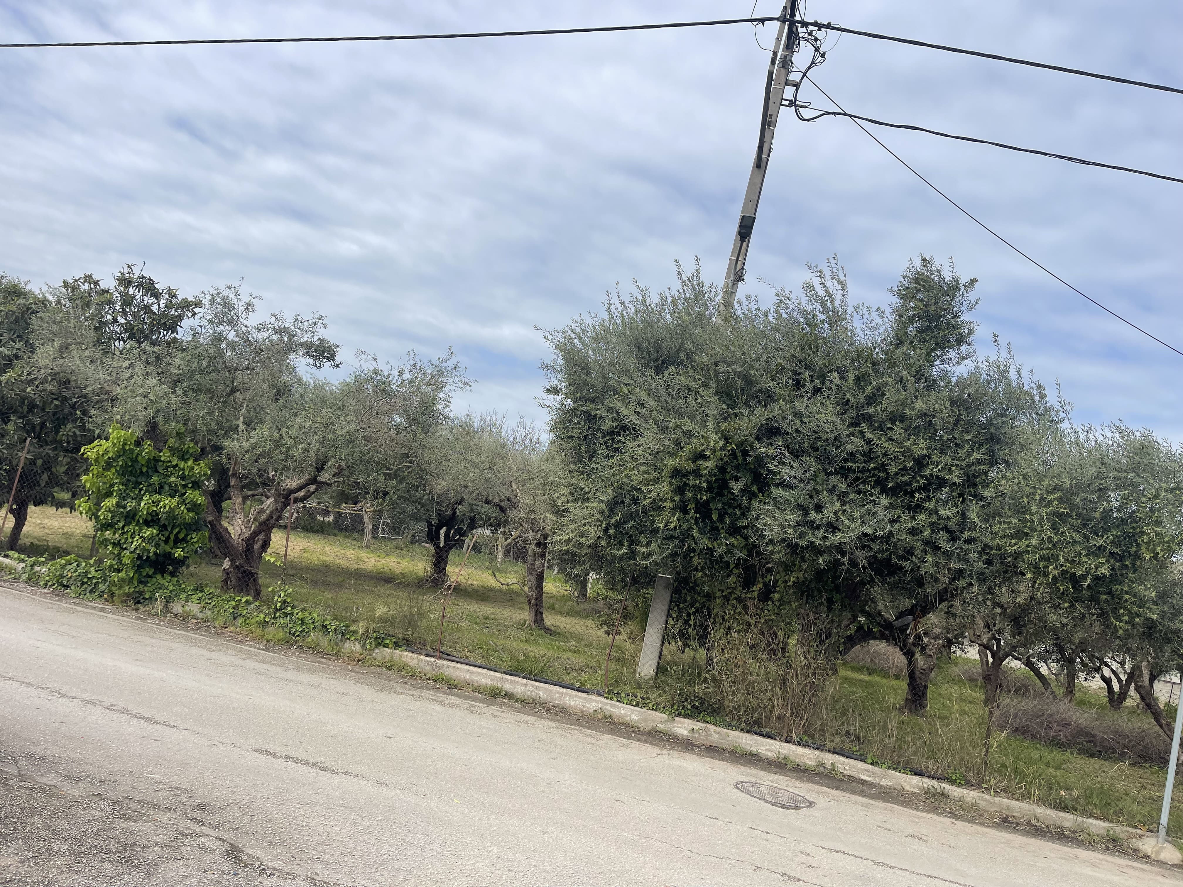 Οικόπεδο  σε πλειστηριασμό Δήμος Πατρέων