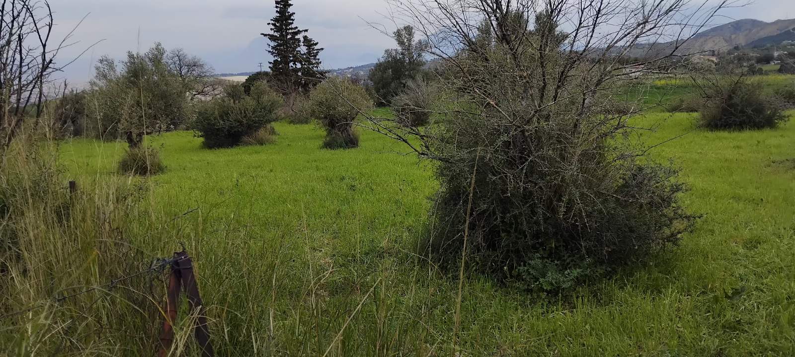 Αγροτεμάχιο  σε πλειστηριασμό Δήμος Πατρέων