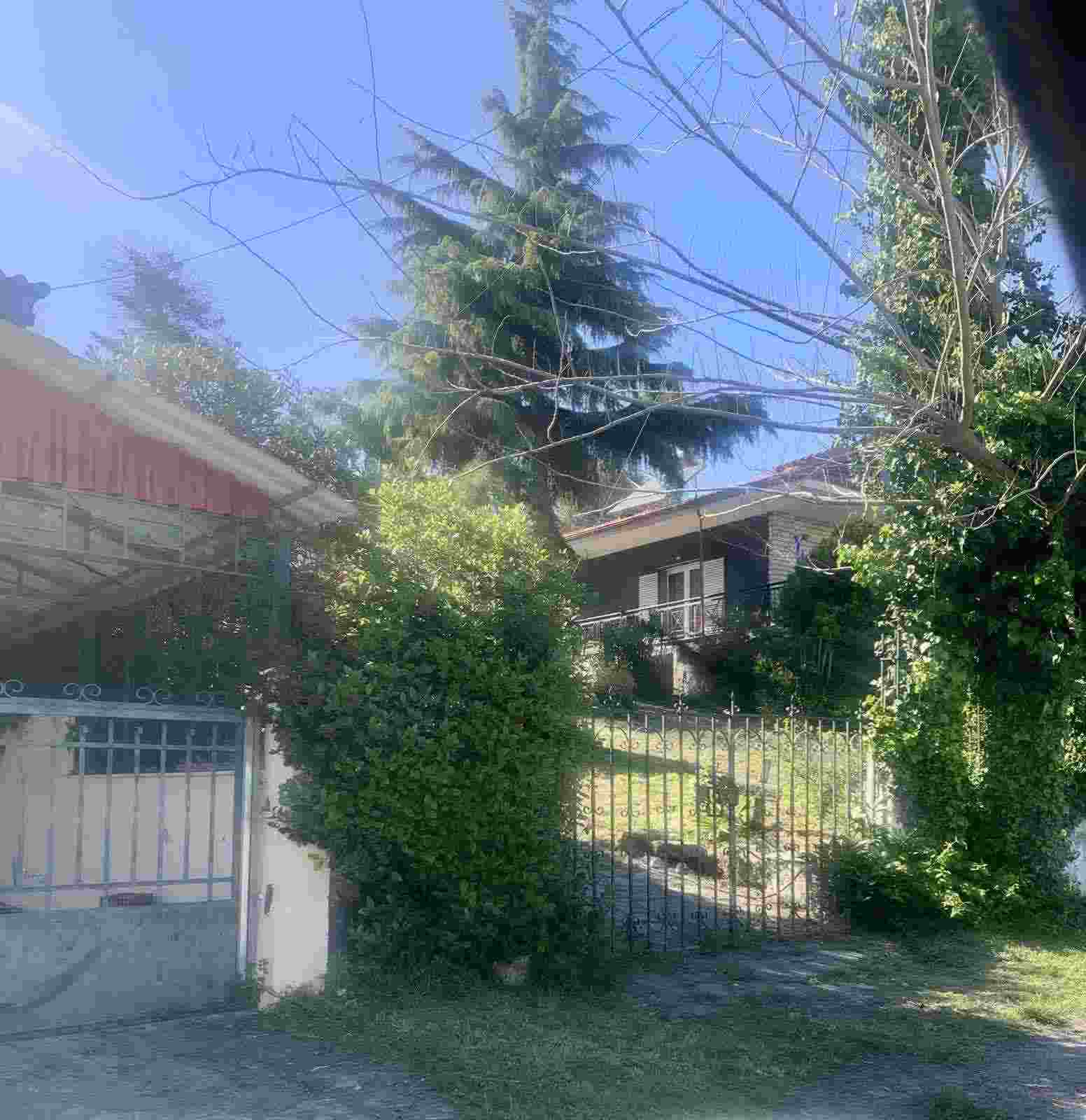 photo1