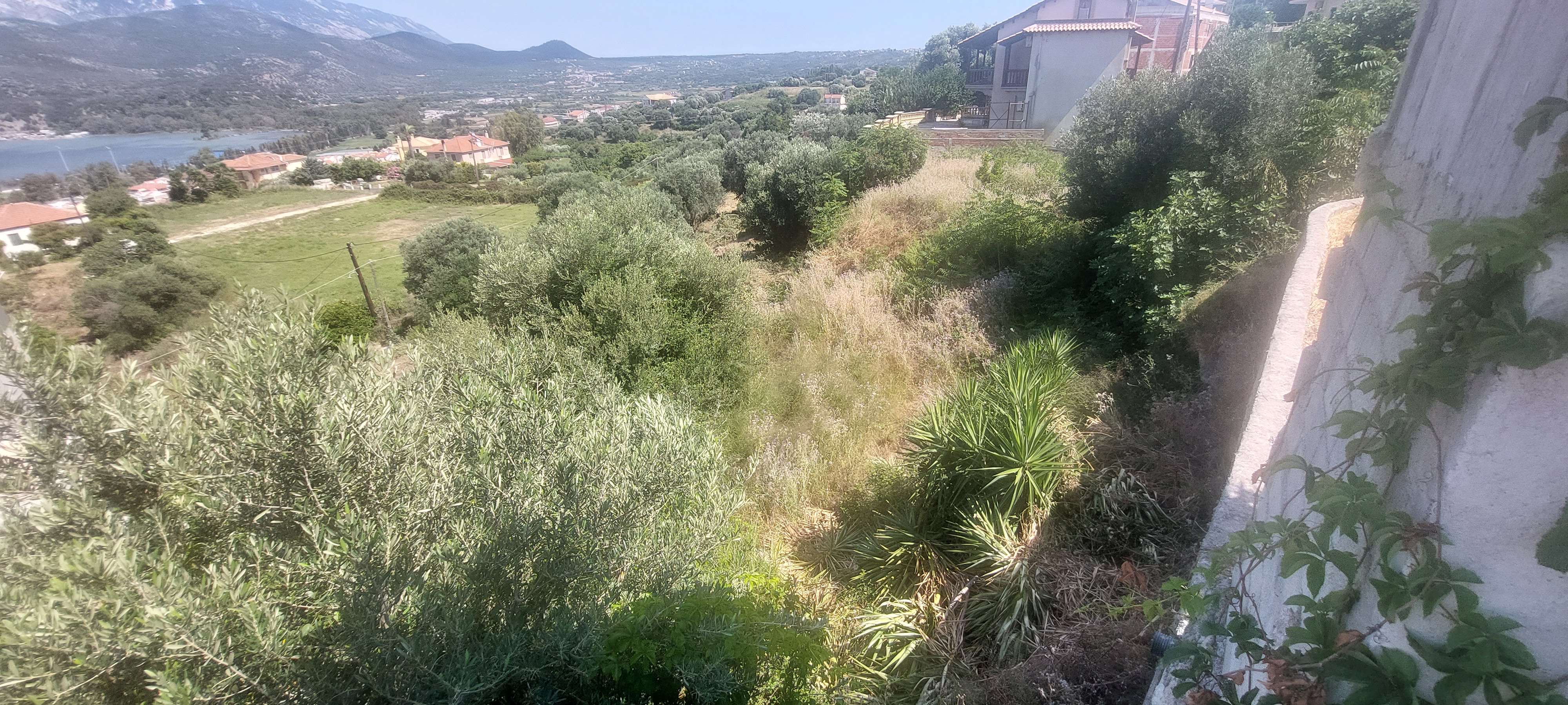 Οικόπεδο  σε πλειστηριασμό Municipality of Kefalonia