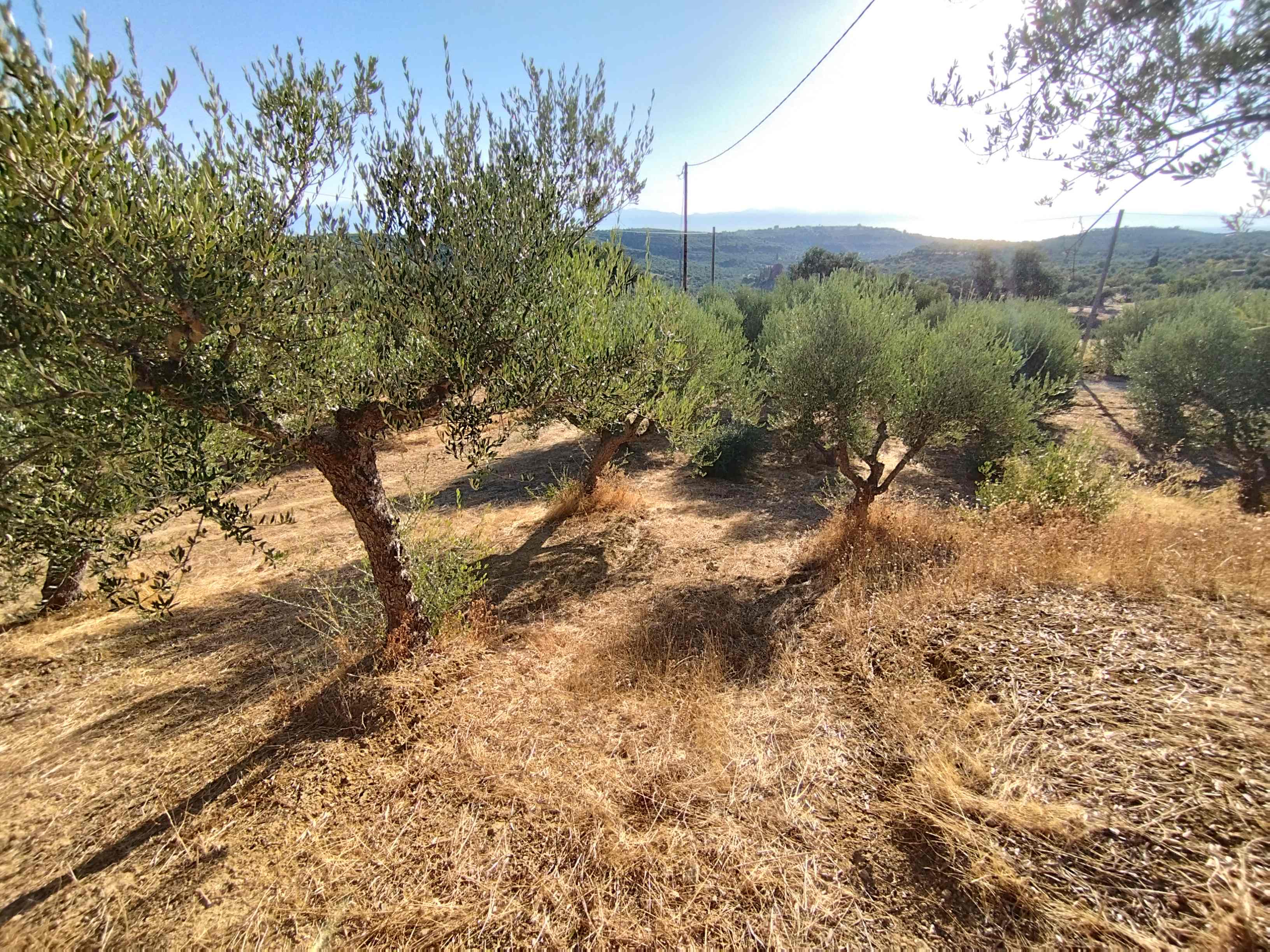 Οικόπεδο  σε πλειστηριασμό Municipality of Pylos - Nestoros