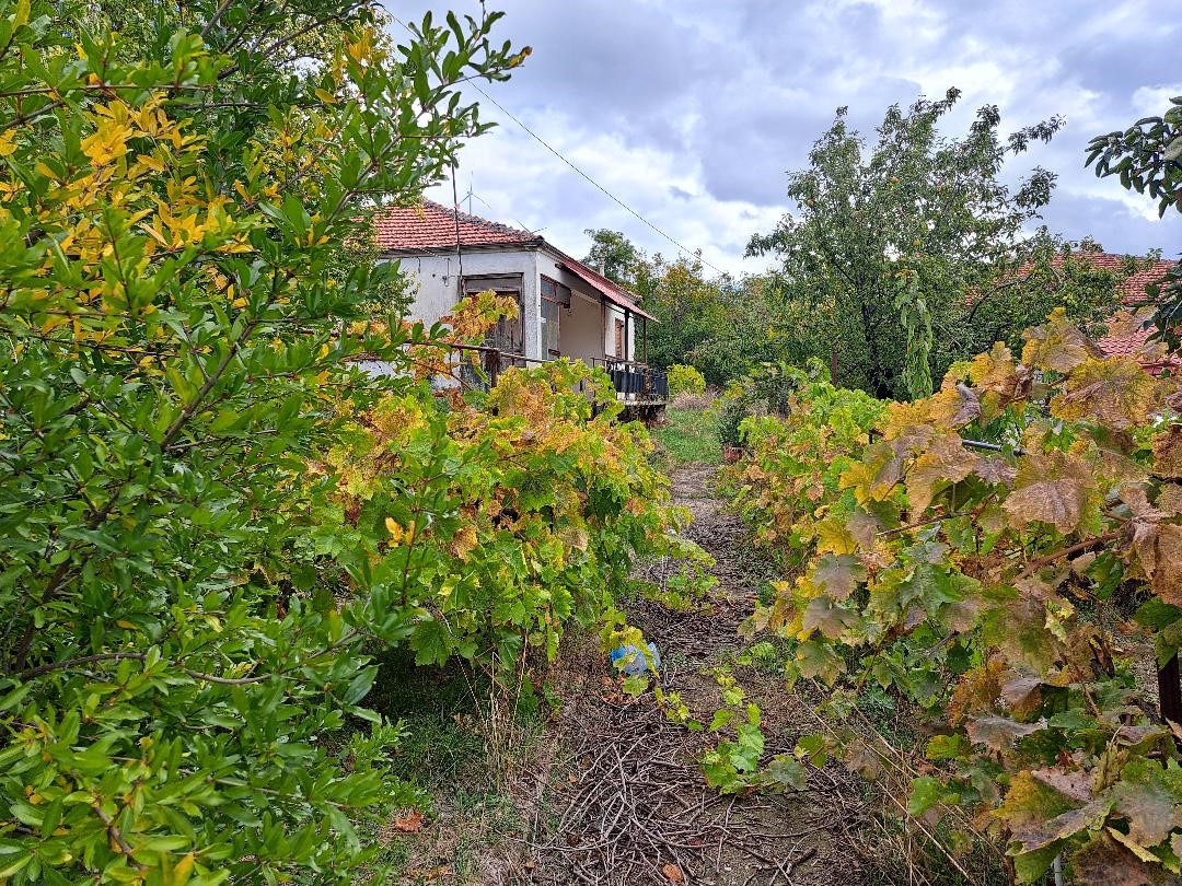 Οικόπεδο με κτίσμα  σε πλειστηριασμό Municipality of Servia - Velventou