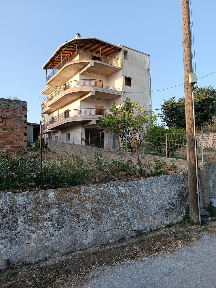 photo1