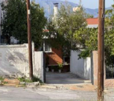 photo2