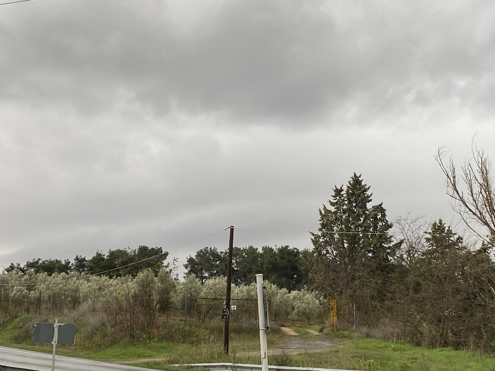 Αγροτεμάχιο 131 sq.m. σε πλειστηριασμό Municipality of Chalkidon