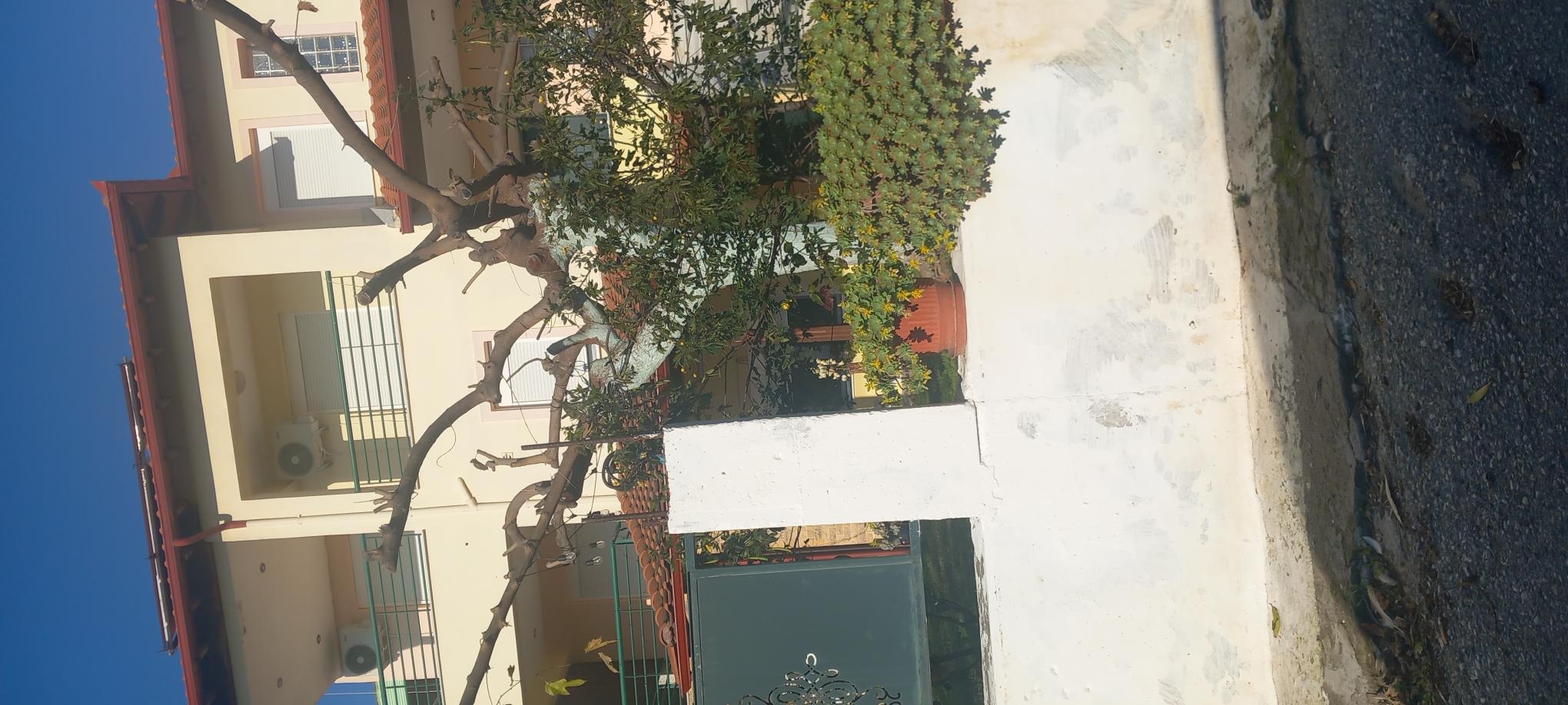 photo5