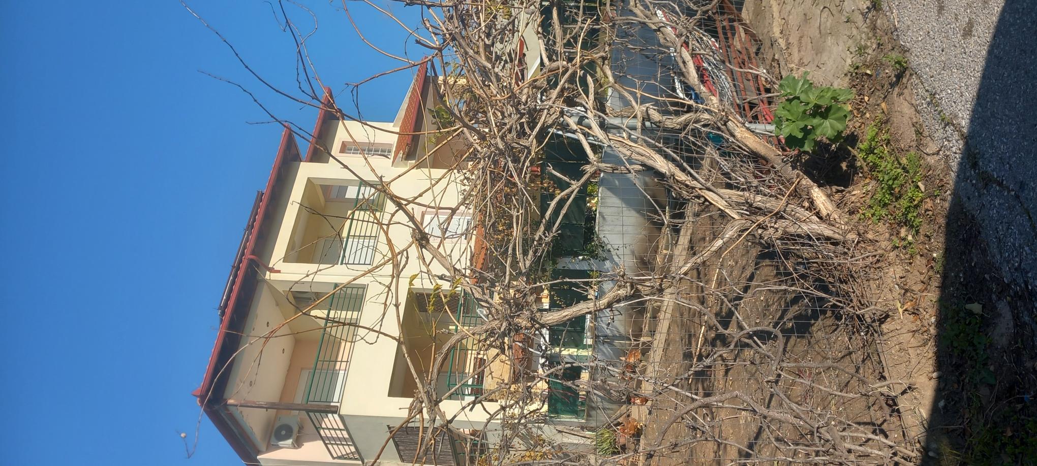photo1
