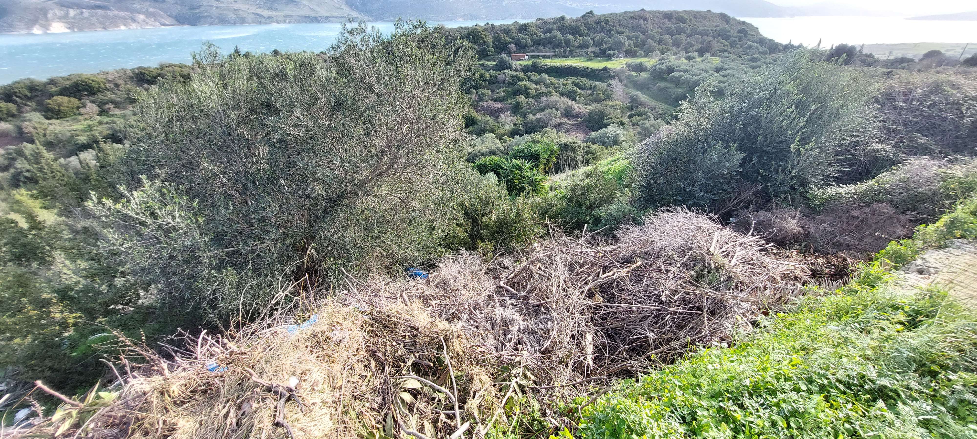 Αγροτεμάχιο με κτίσμα  σε πλειστηριασμό Municipality of Kefalonia