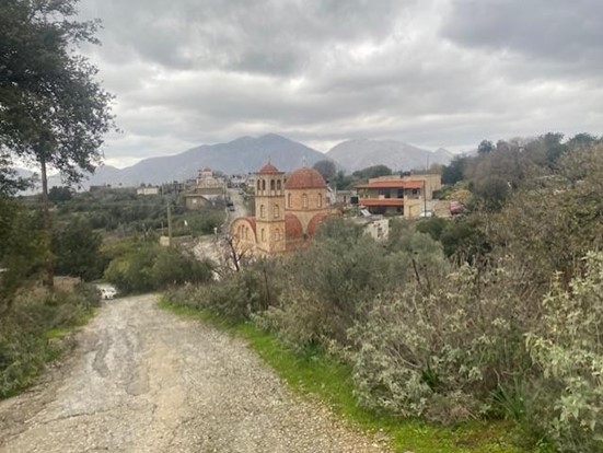 Οικόπεδο  σε πλειστηριασμό Δήμος Μυλοποτάμου