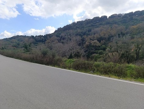 Αγροτεμάχιο  σε πλειστηριασμό Δήμος Ρεθύμνης