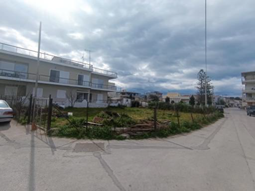 Οικόπεδο  σε πλειστηριασμό Δήμος Σικυωνίων