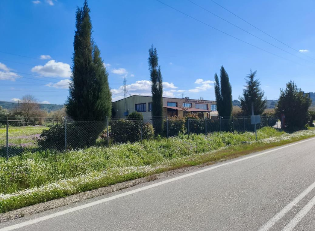 Οικόπεδο με κτίσμα  σε πλειστηριασμό Δήμος Πύργου