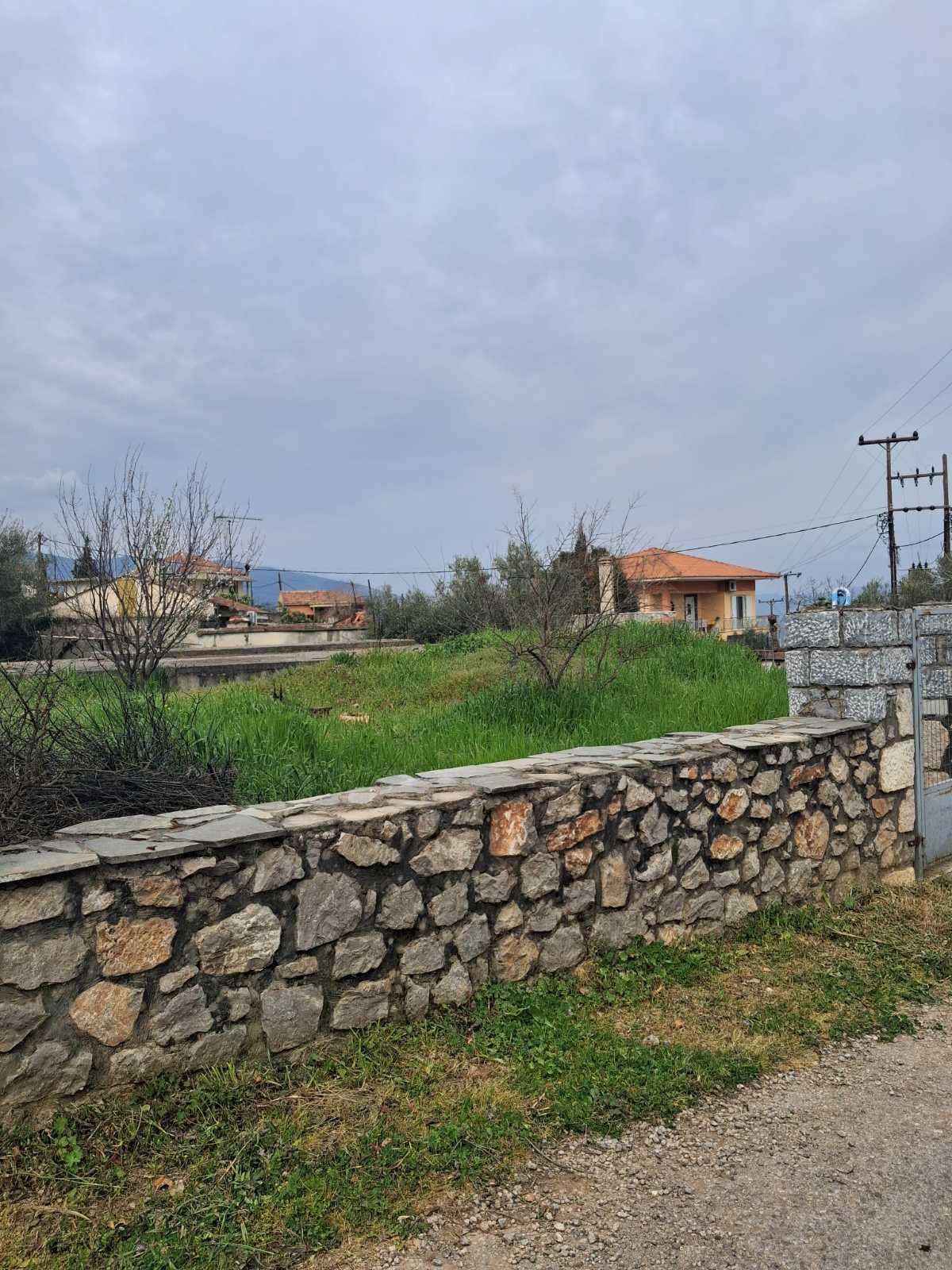 Οικόπεδο  σε πλειστηριασμό Δήμος Αλιάρτου - Θεσπιέων
