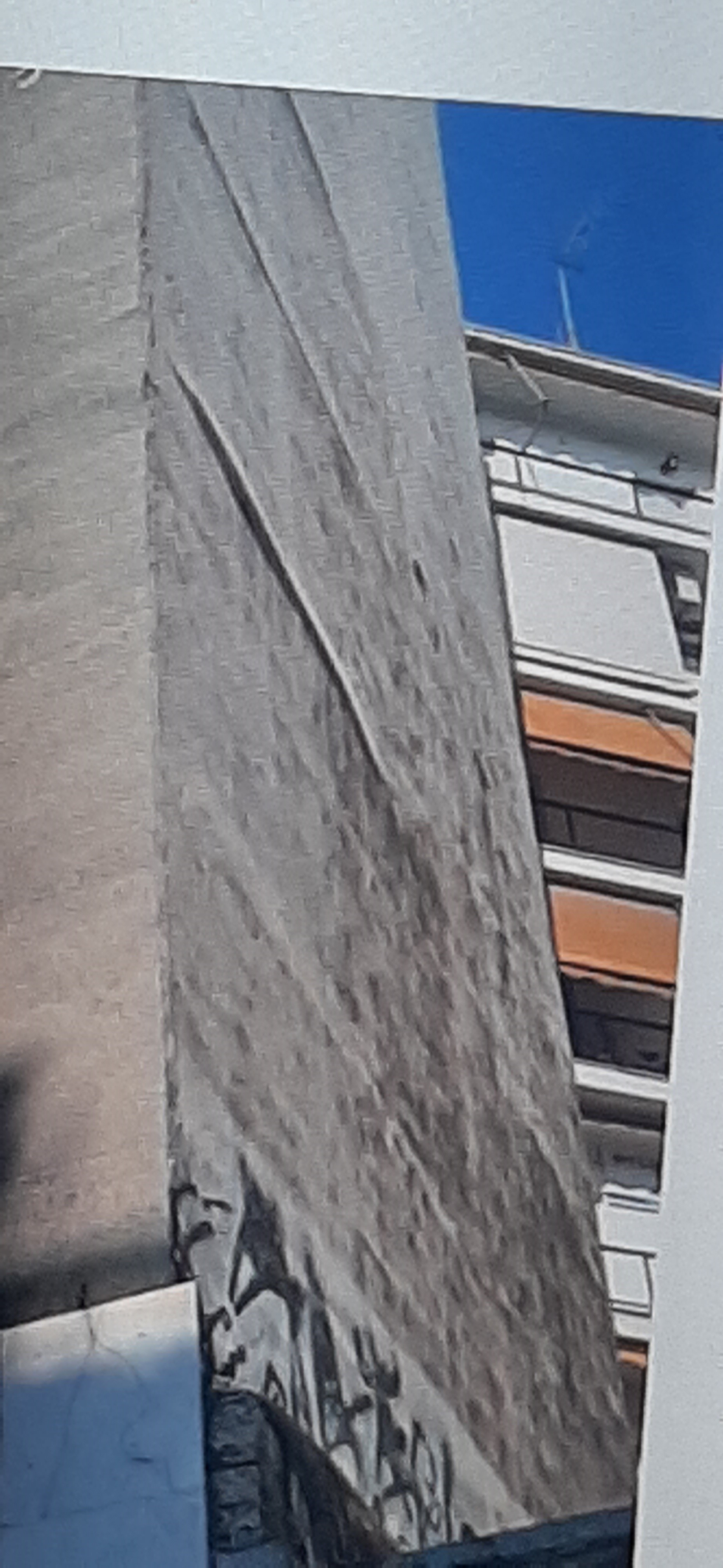 photo1