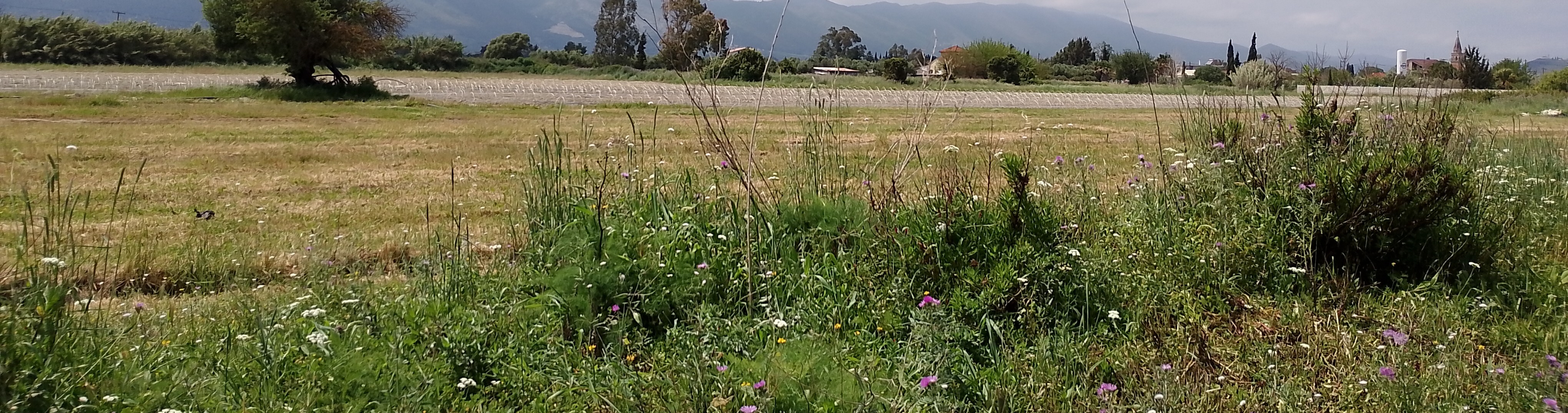 photo1