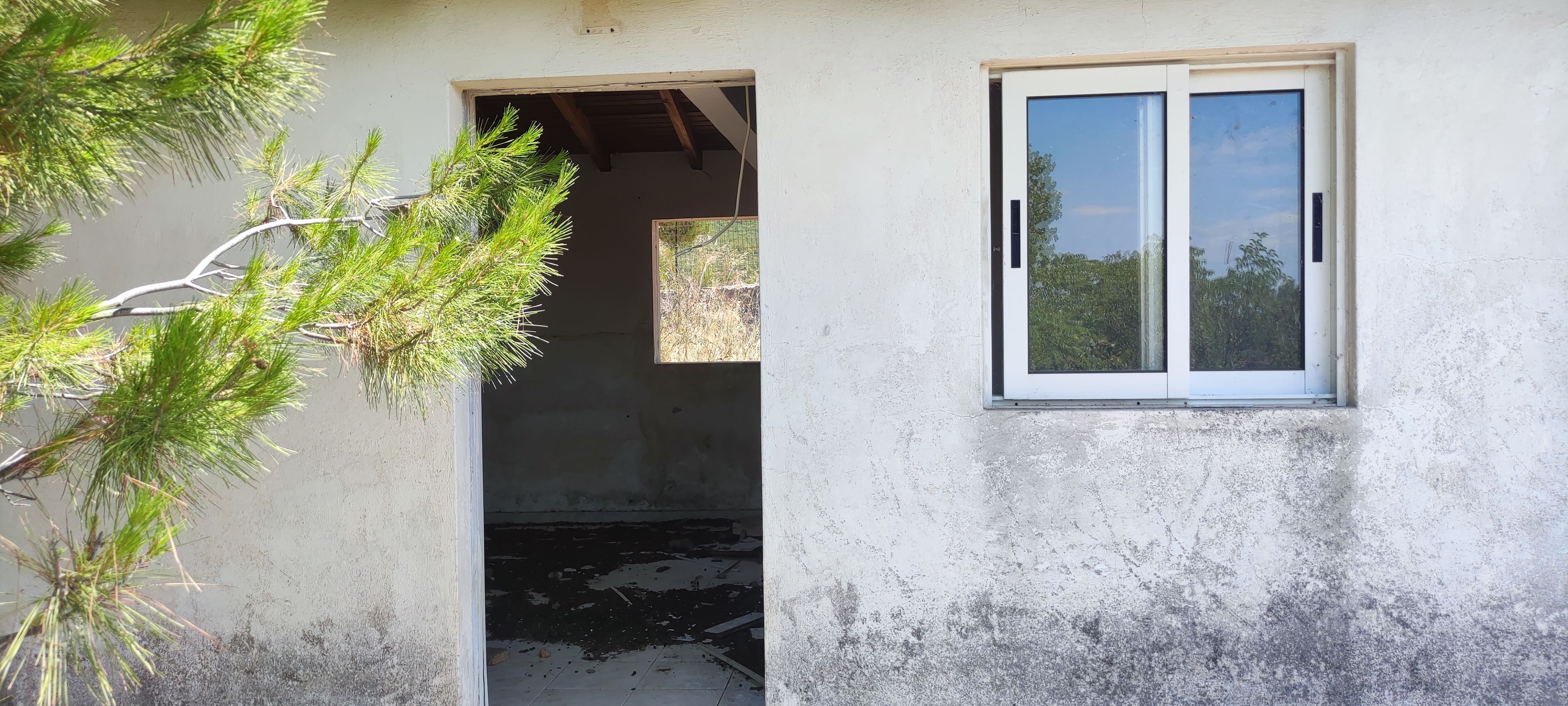 photo2