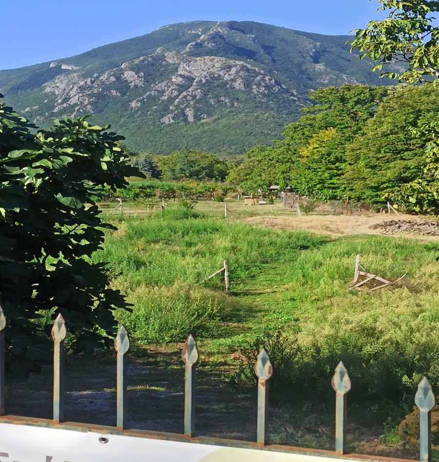 Αγροτεμάχιο  σε πλειστηριασμό Δήμος Ηρωικής Πόλεως Νάουσας