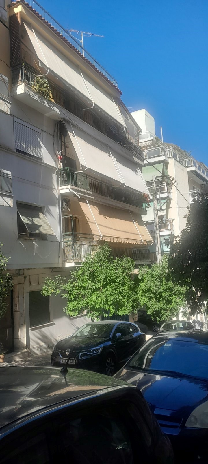 photo1