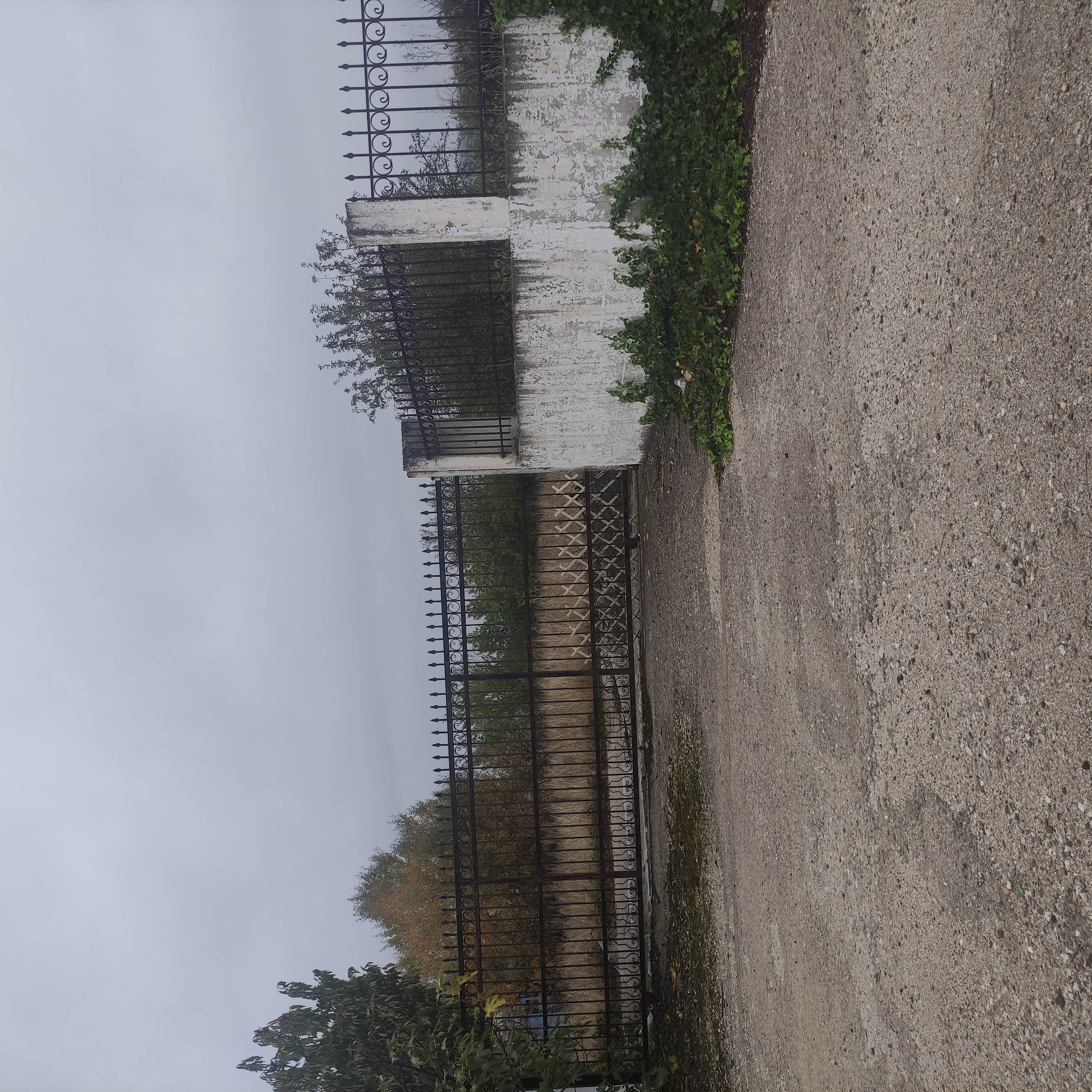 photo0