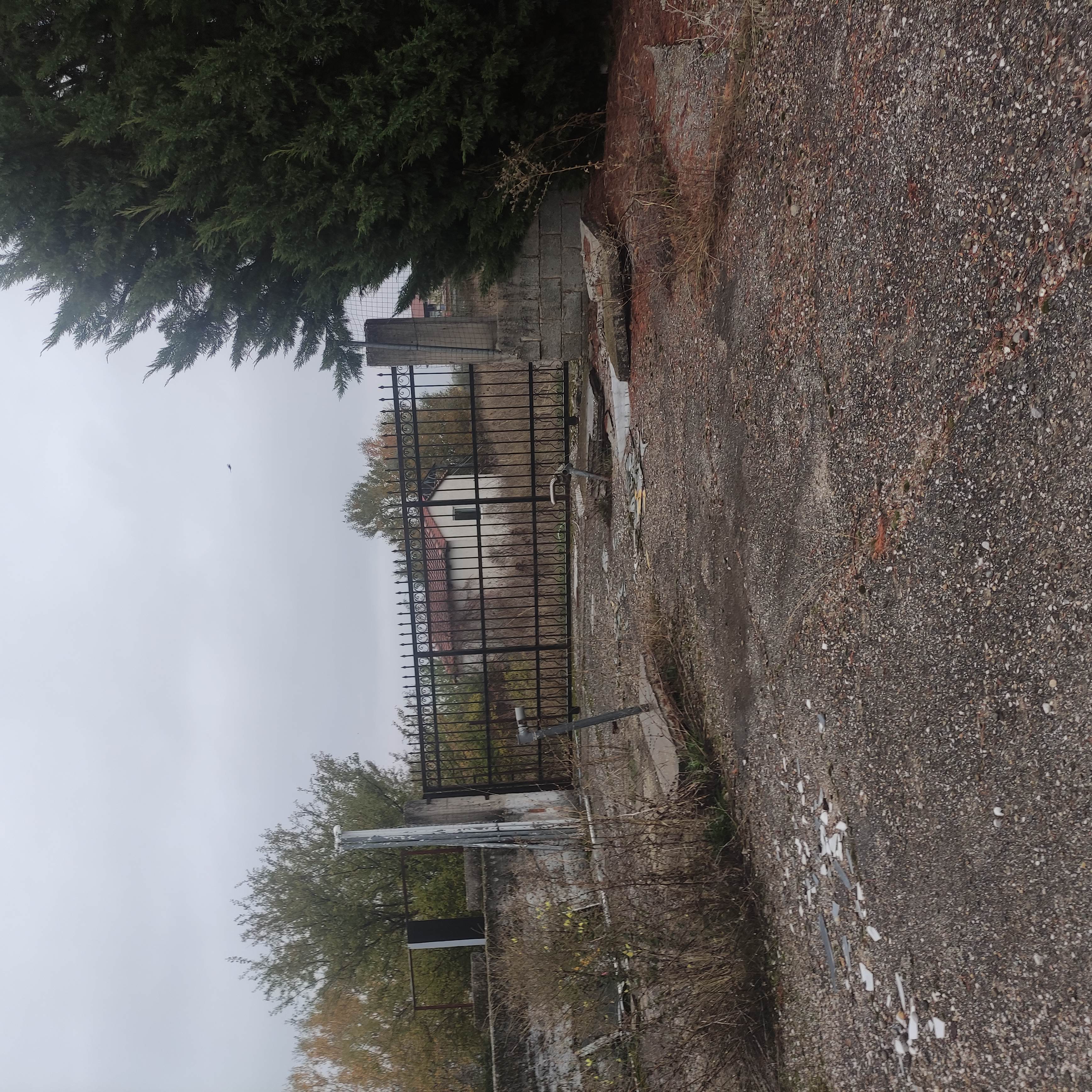 photo2