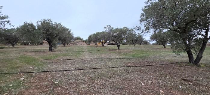 photo0