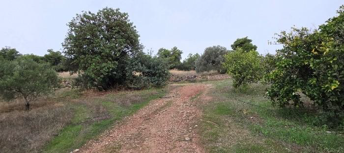 photo1