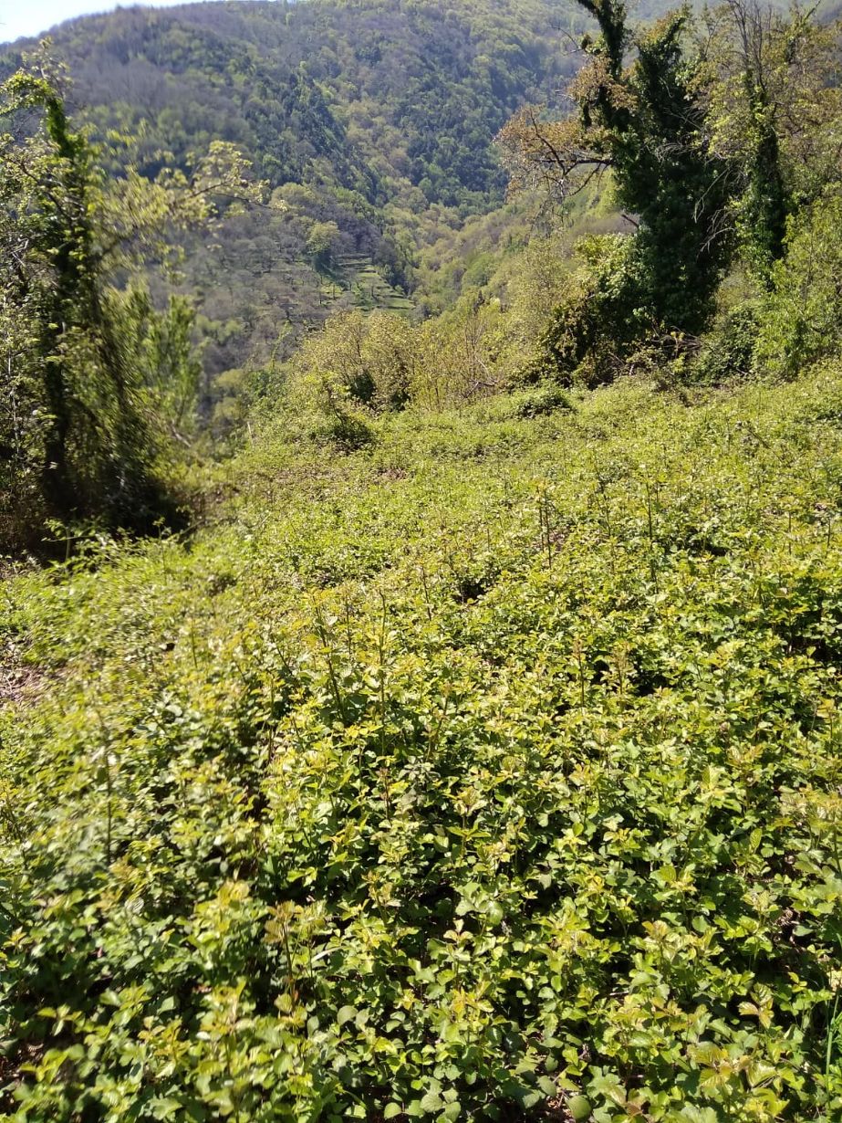 photo3