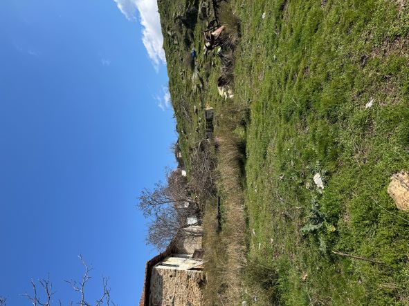 photo1