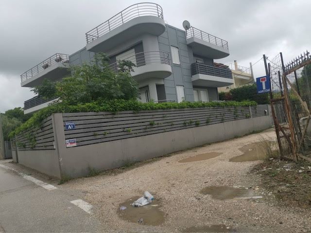 photo1