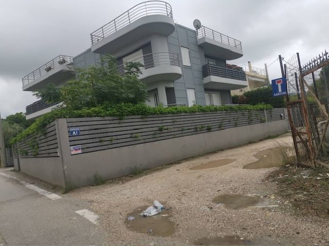 photo2