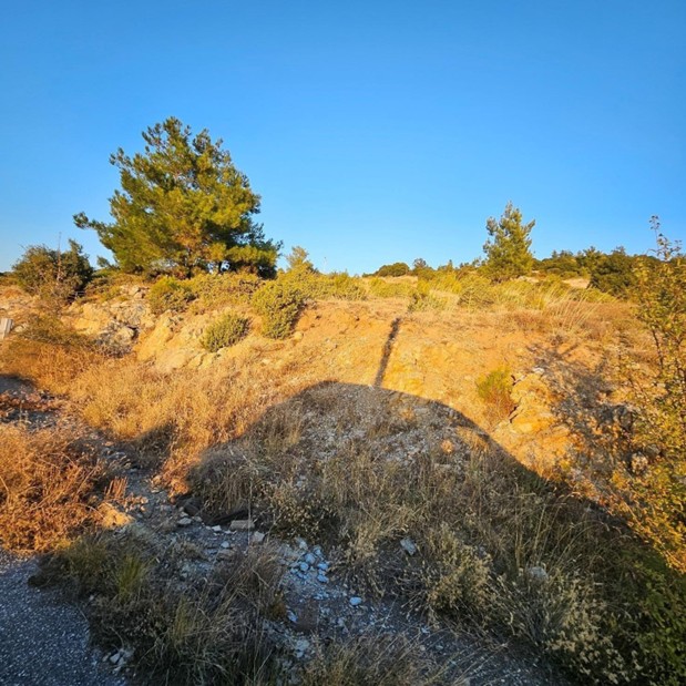 photo1