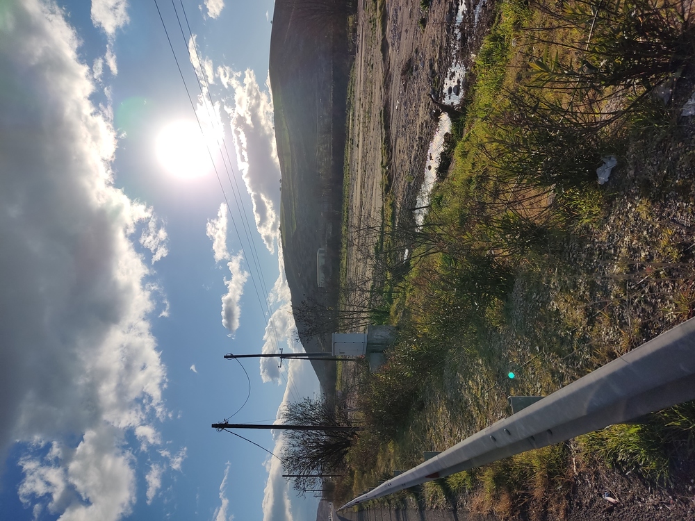 photo1