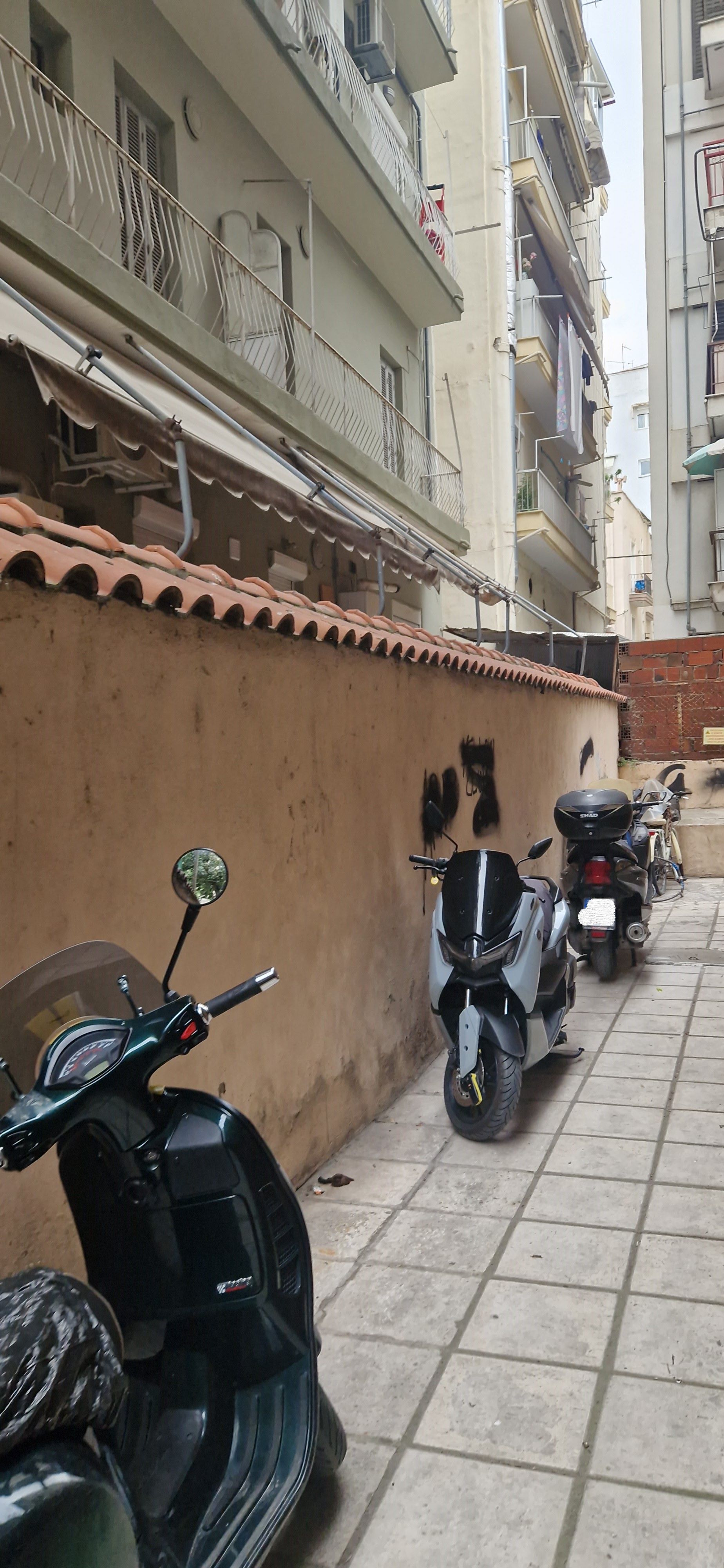 photo1