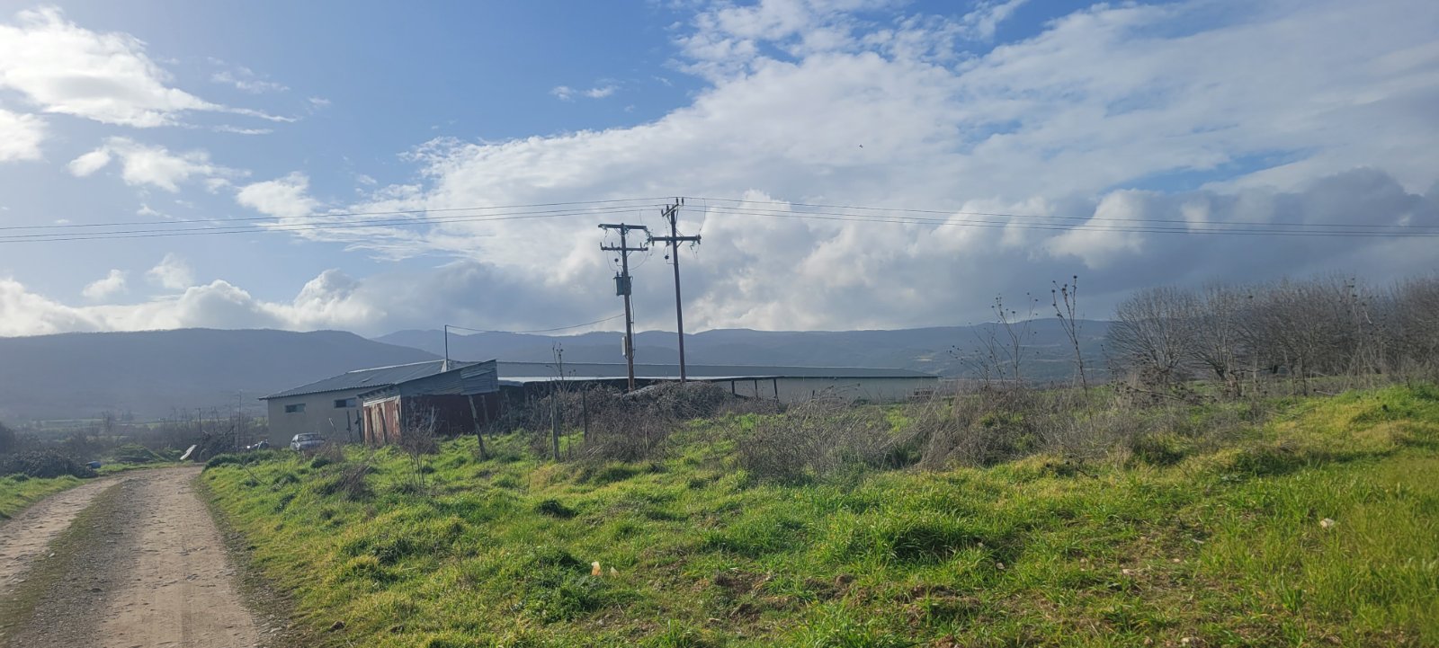 photo2