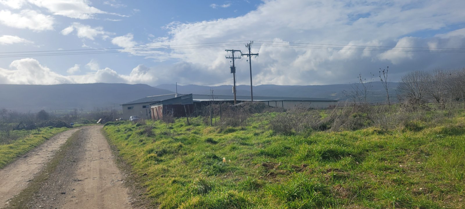 photo3