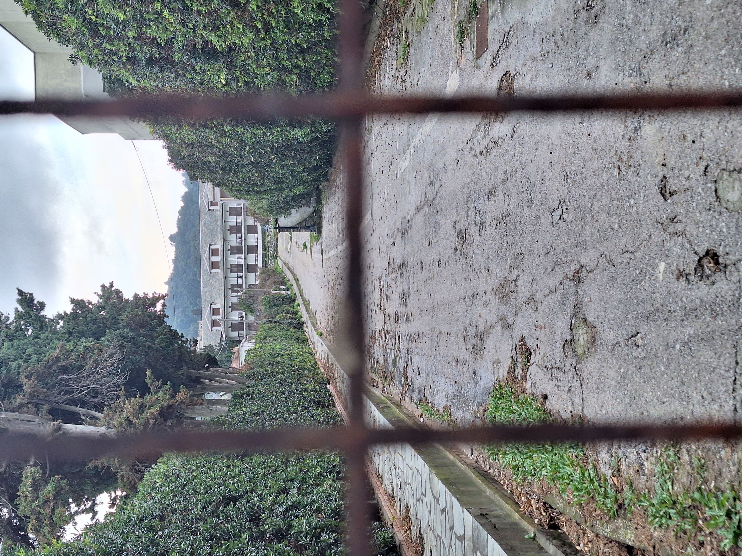 photo0