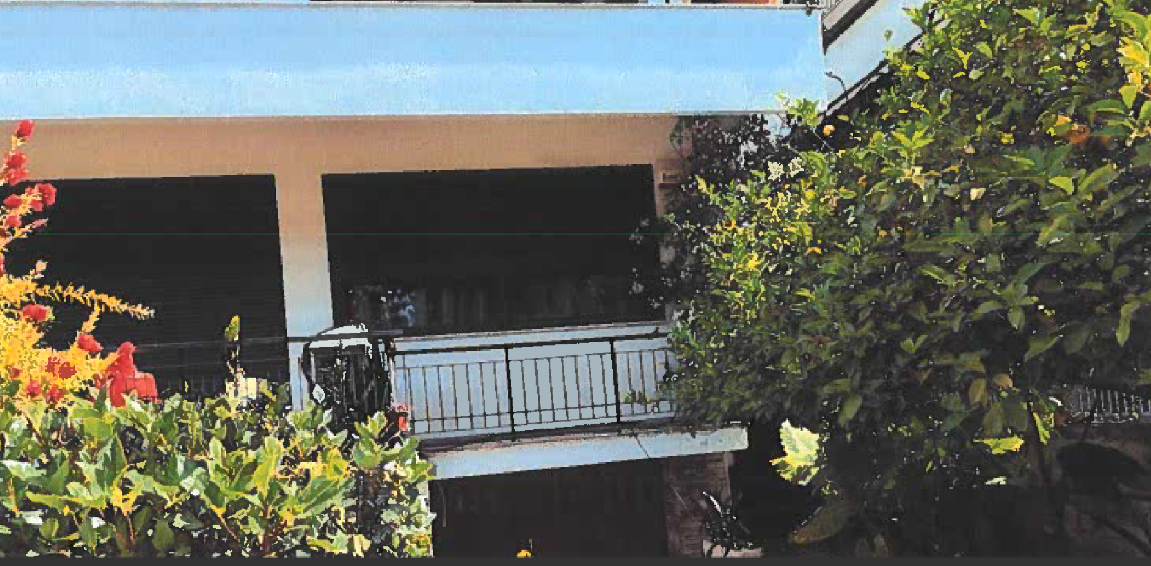 photo1