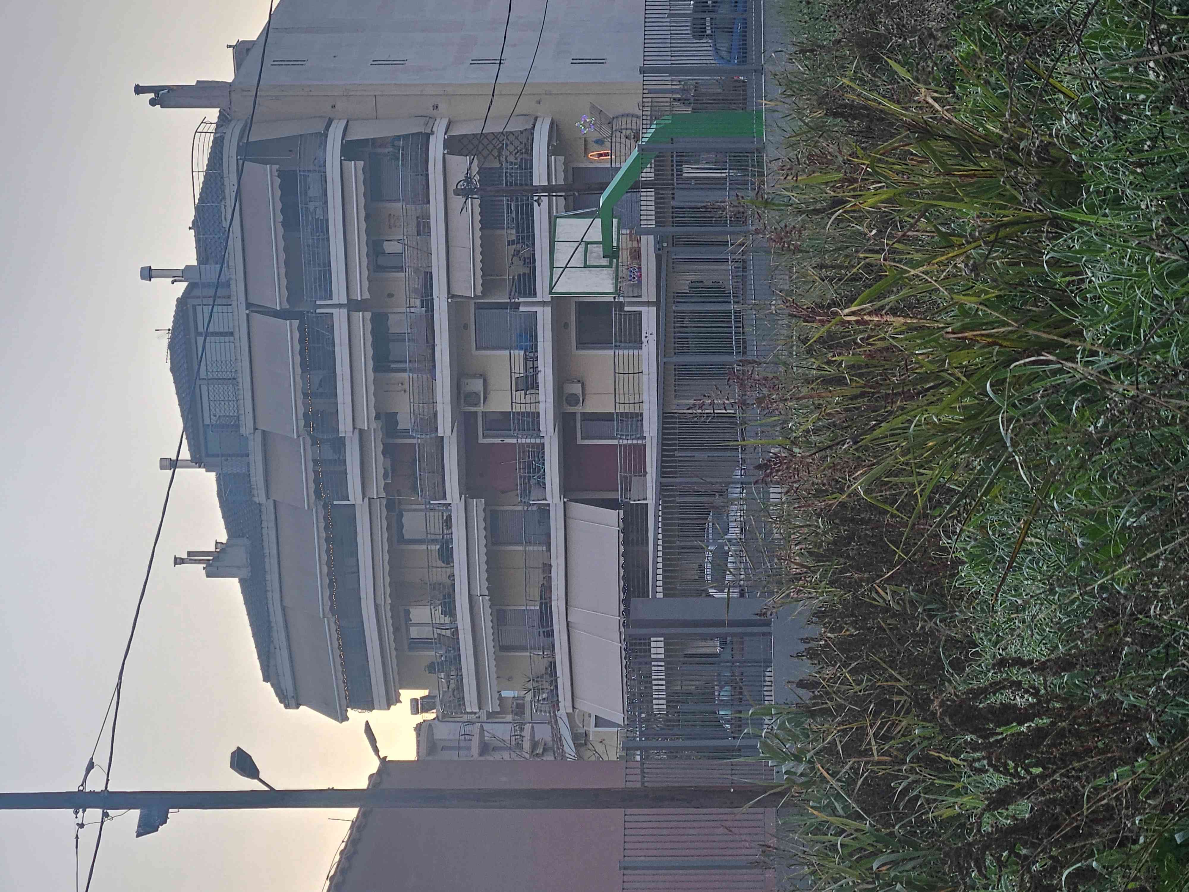 photo0