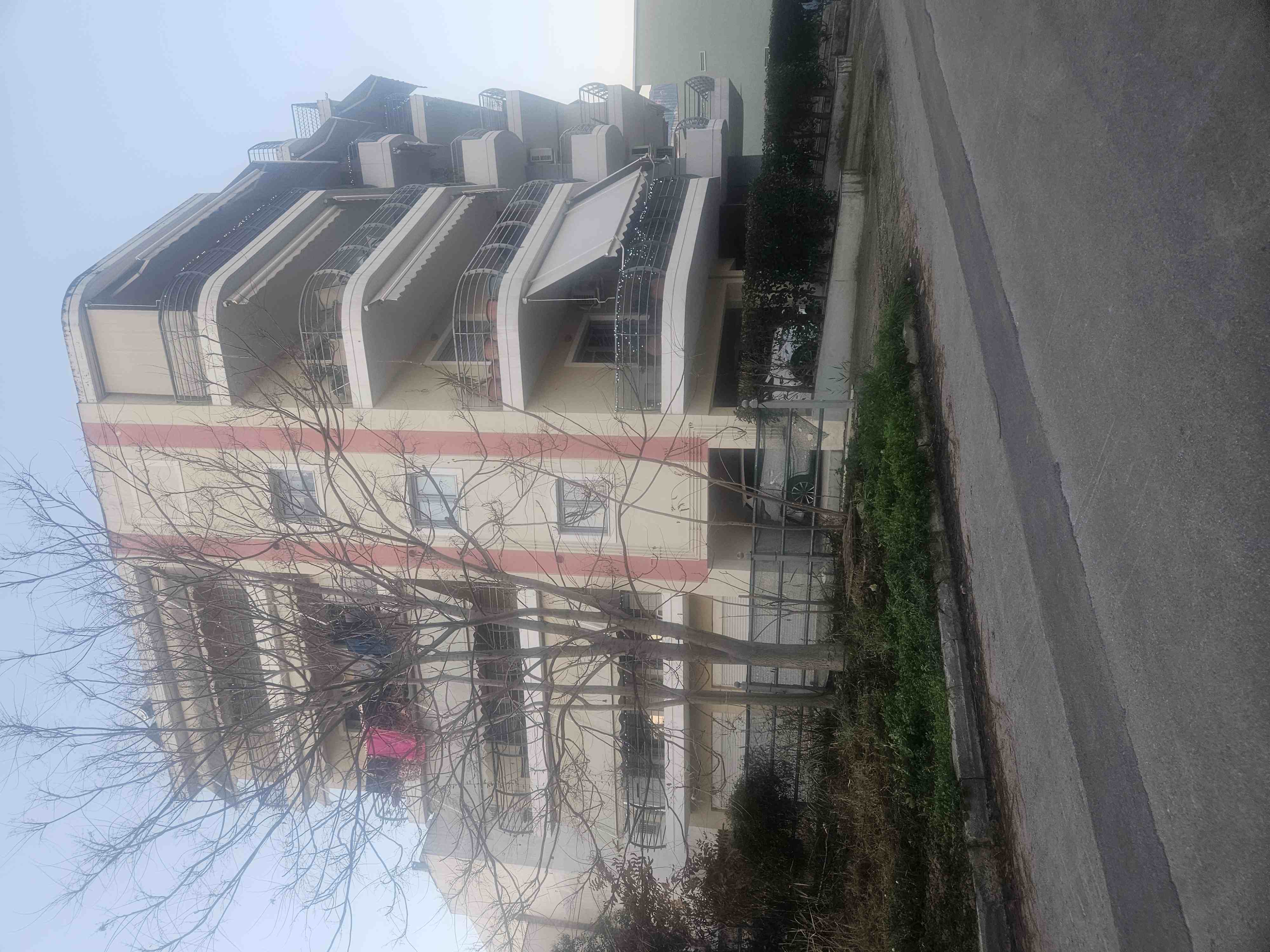 photo1
