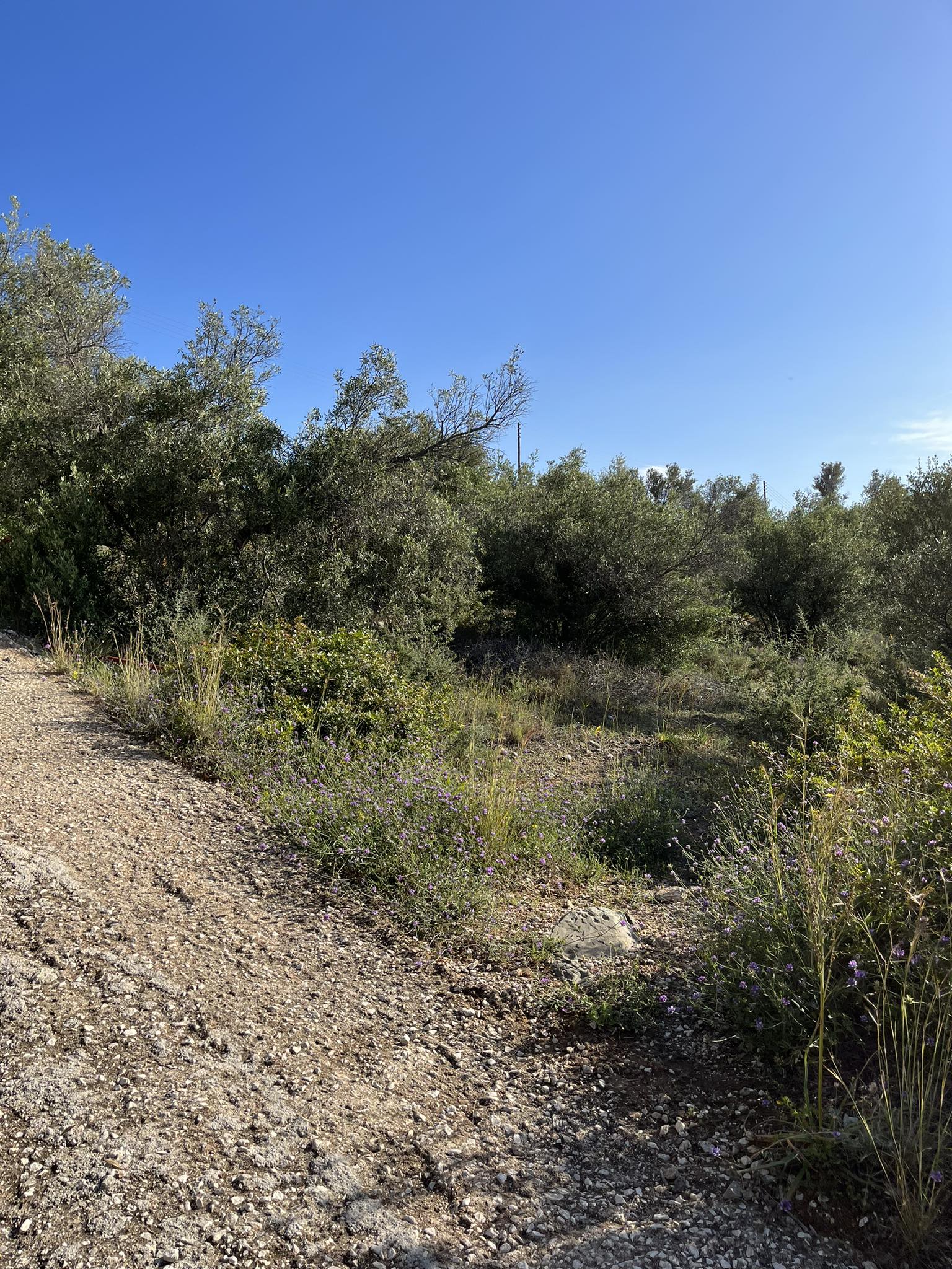 photo1