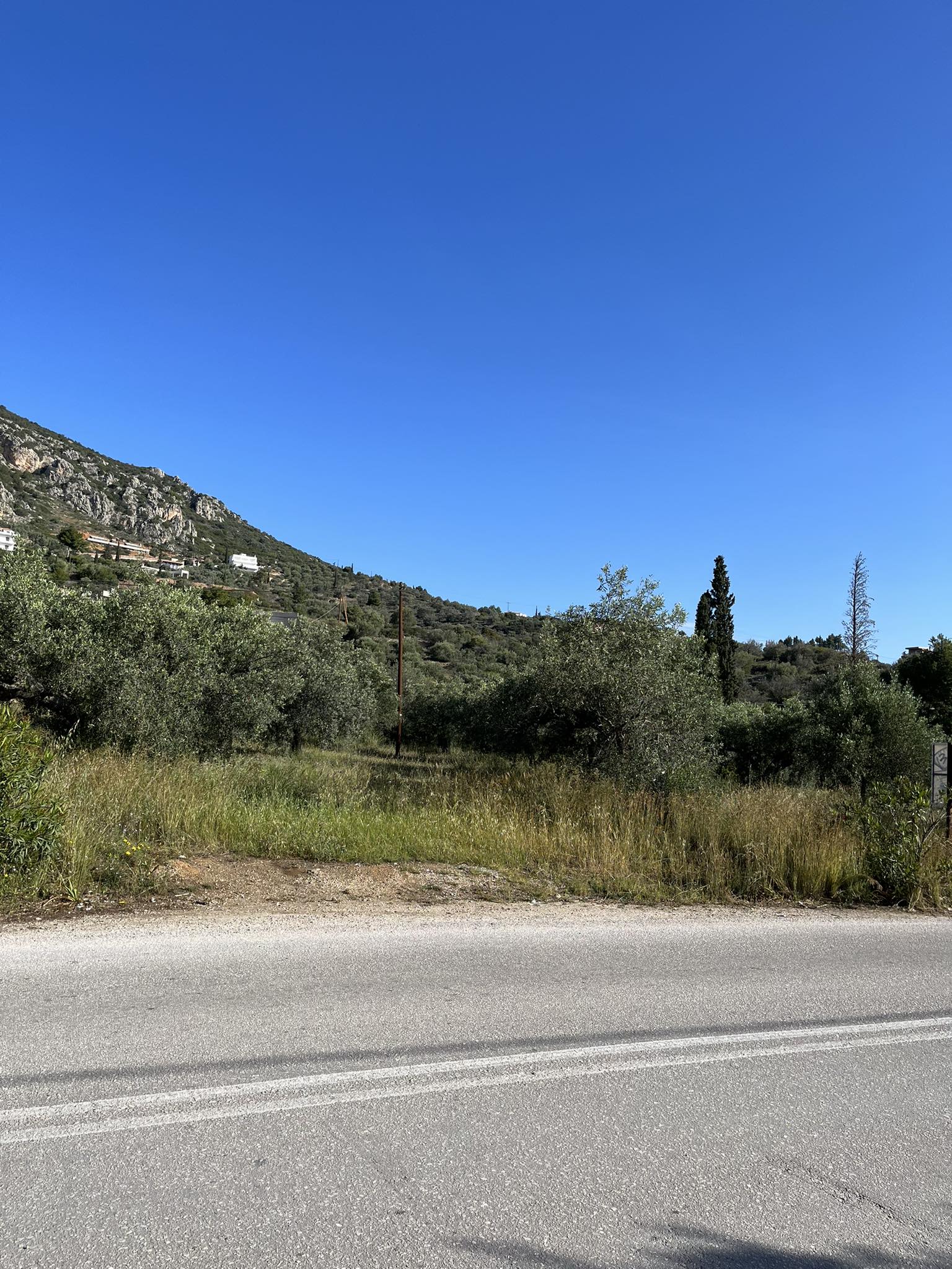 photo6