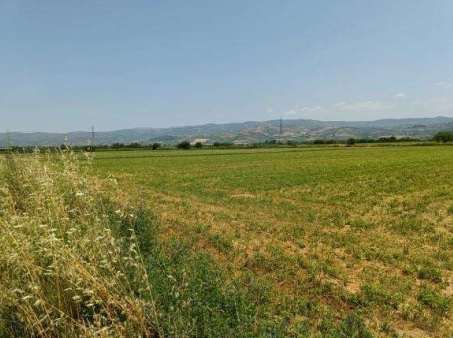 Αγροτεμάχιο  σε πλειστηριασμό Δήμος Τρικκαίων